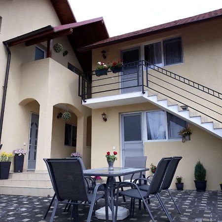 Casa Luisa Διαμέρισμα Călimăneşti Εξωτερικό φωτογραφία