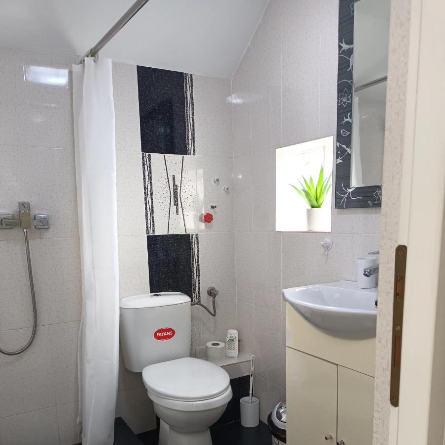 Casa Luisa Διαμέρισμα Călimăneşti Εξωτερικό φωτογραφία