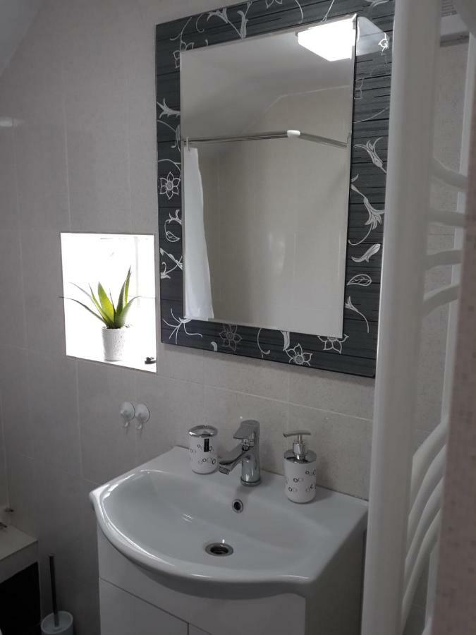 Casa Luisa Διαμέρισμα Călimăneşti Εξωτερικό φωτογραφία