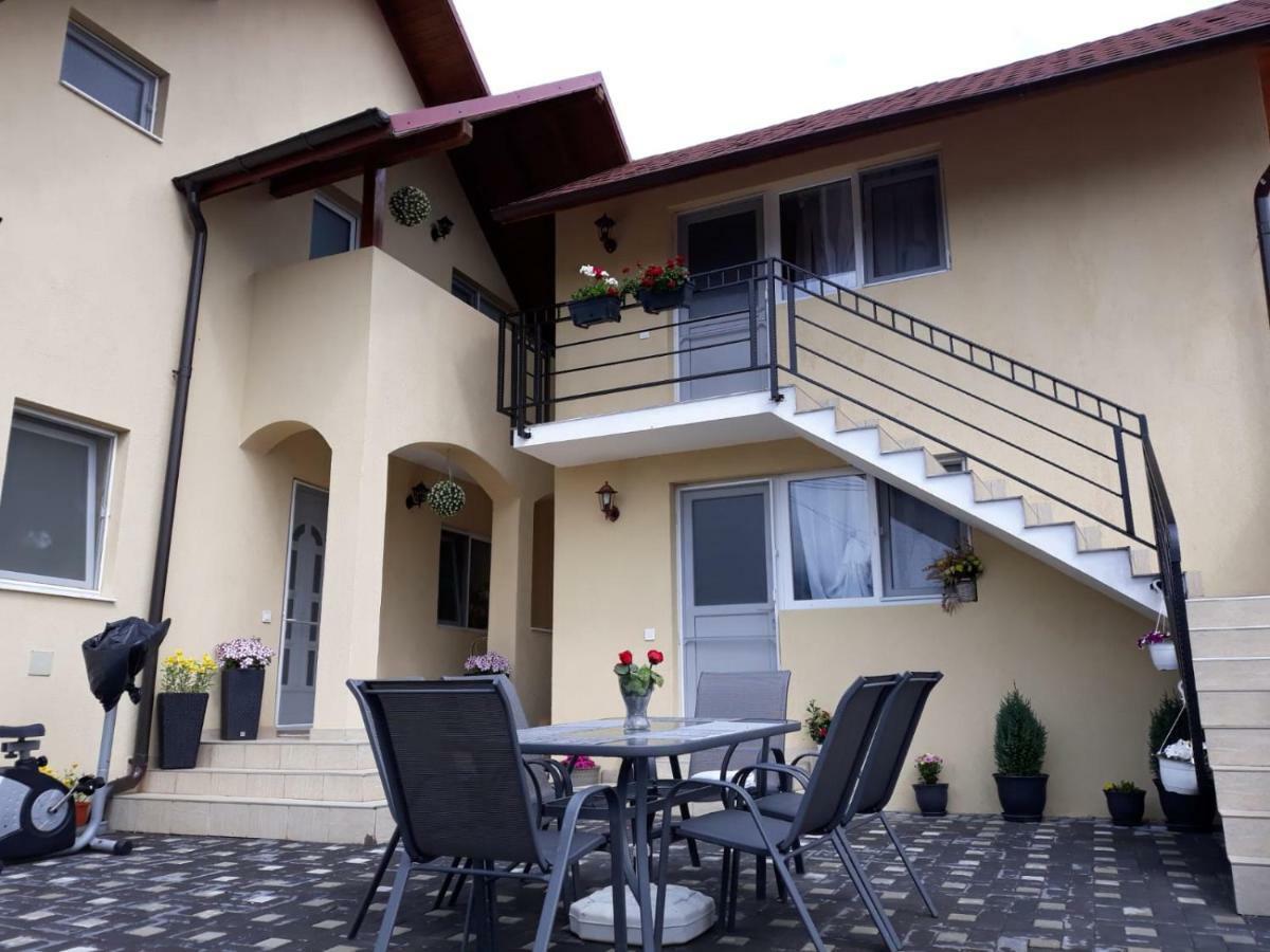 Casa Luisa Διαμέρισμα Călimăneşti Εξωτερικό φωτογραφία