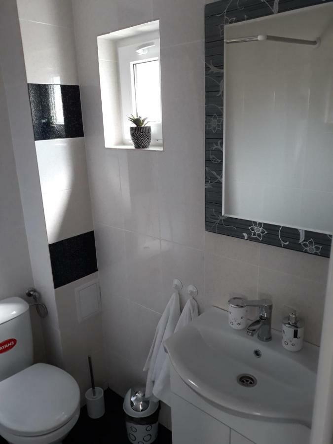 Casa Luisa Διαμέρισμα Călimăneşti Εξωτερικό φωτογραφία